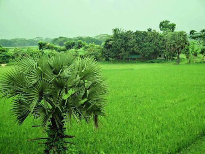 Nature